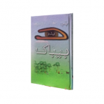 دیدہ بیباک