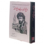 دیوانہ ہے دیوانہ (ناول)